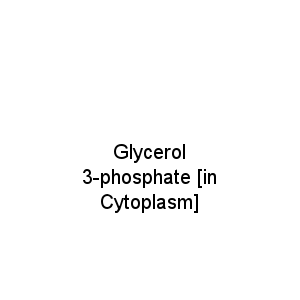 Glycerol 3-phosphate [in Cytoplasm]